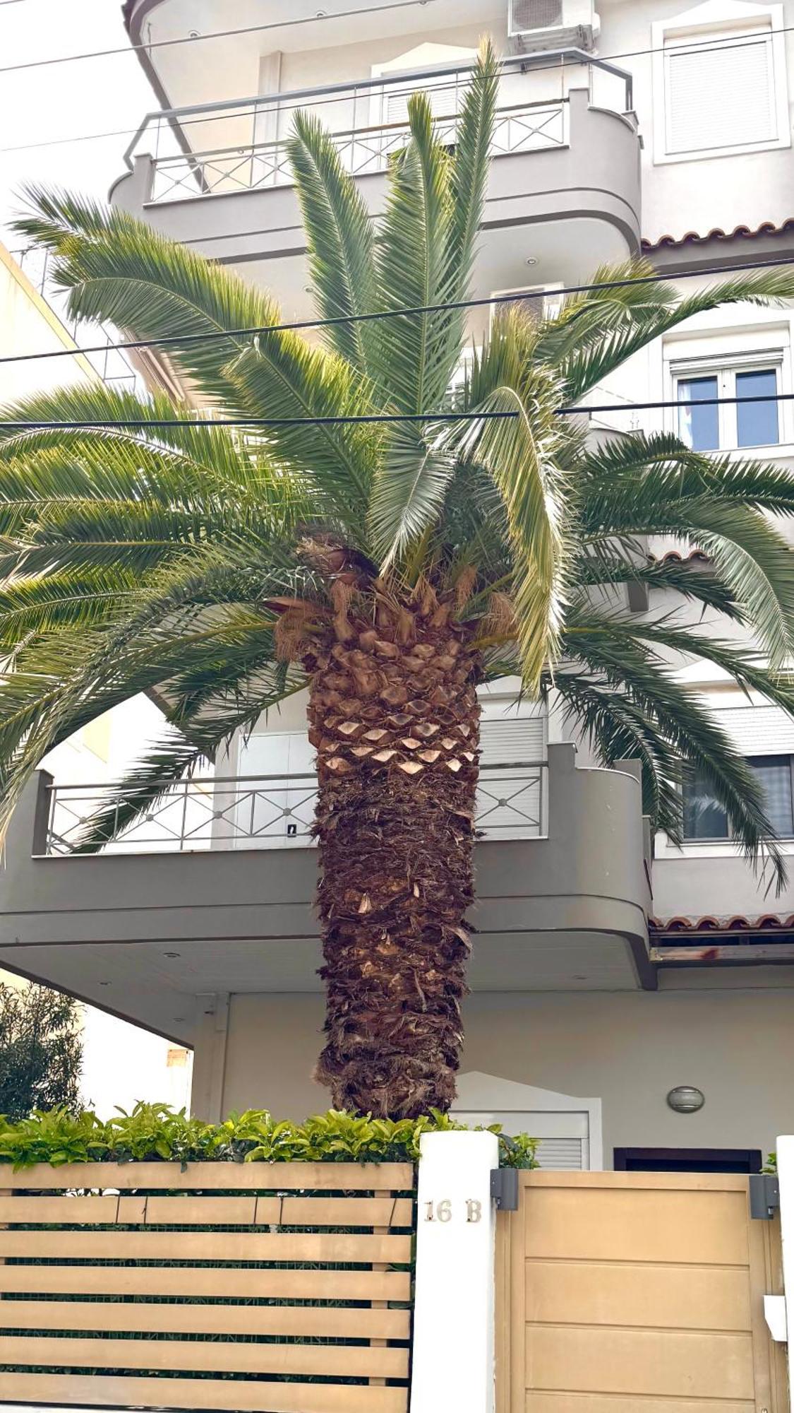 Elegant Glyfada Apartment-private Garden-near Metro Apartamento *